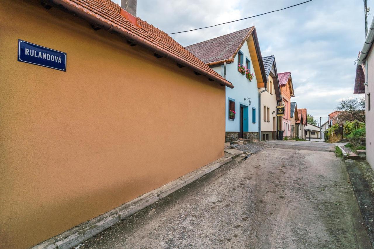 Vinný sklep Vinoza Velké Bílovice Esterno foto