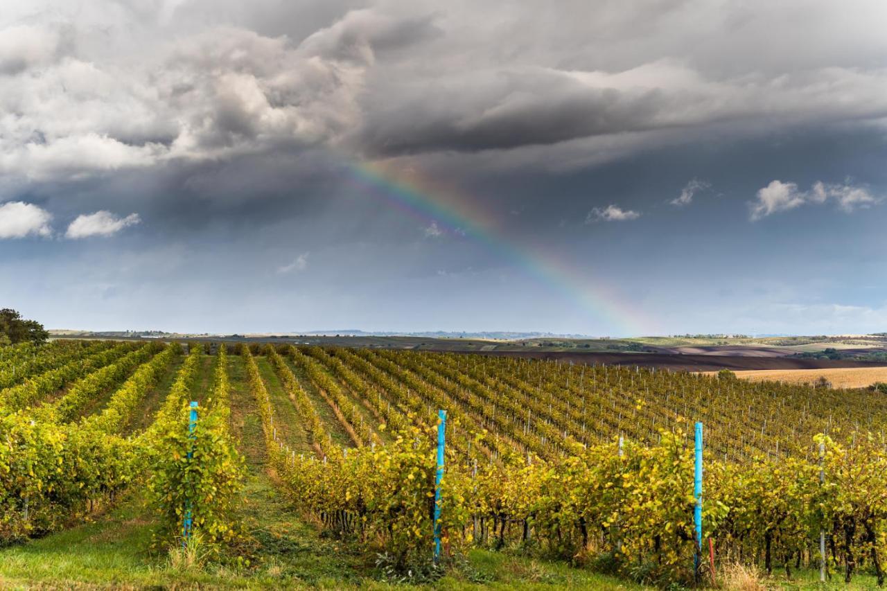 Vinný sklep Vinoza Velké Bílovice Esterno foto