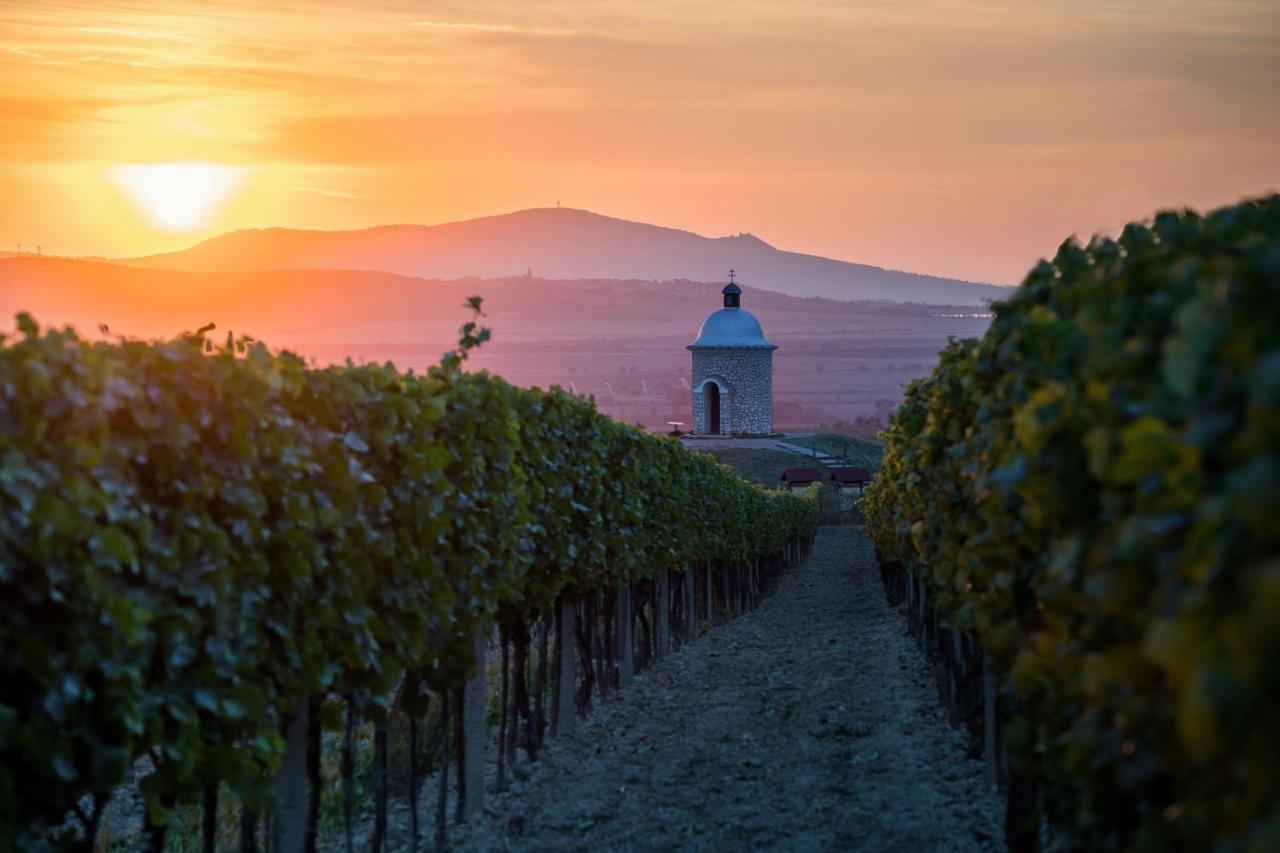 Vinný sklep Vinoza Velké Bílovice Esterno foto